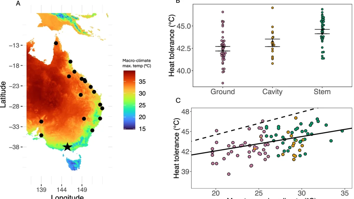 Map of Australian bee sampling sites, heat tolerance by nesting behaviour, and relationship between nest microclimate temperature and CTmax across 95 species — da Silva et al., Nature Communications