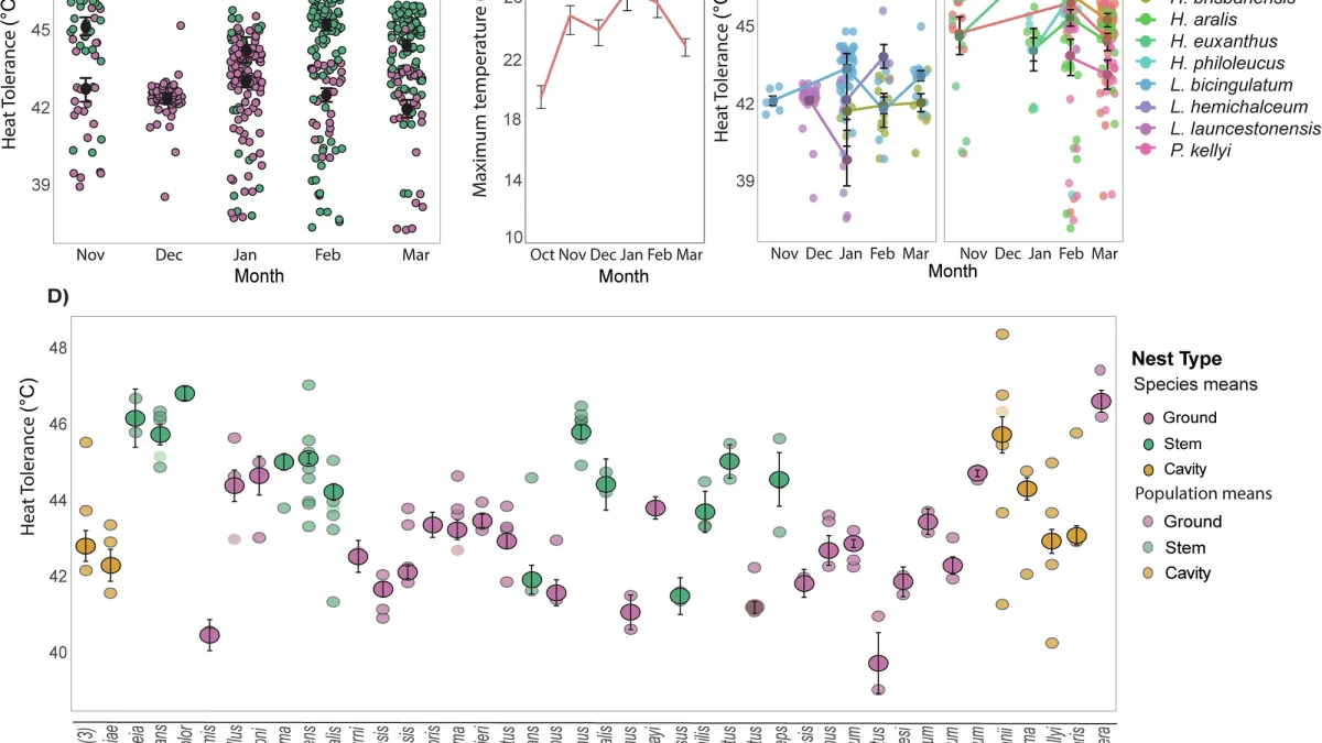 Seasonal heat tolerance variation in Melbourne bees and population-level CTmax comparisons across species and nest types — da Silva et al., Nature Communications