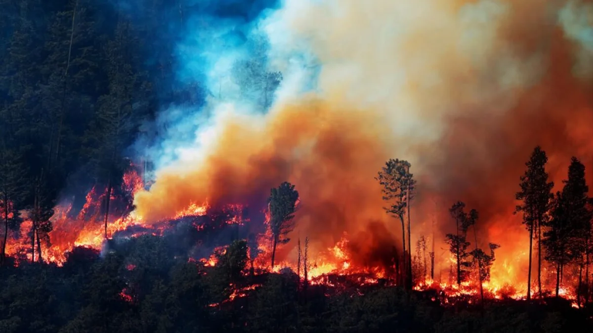 Wildfire flames and thick smoke spread through a forested mountainside — Shutterstock