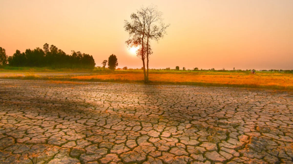 Cracked, drought-stricken land stretches across a dry landscape at sunset — Shutterstock