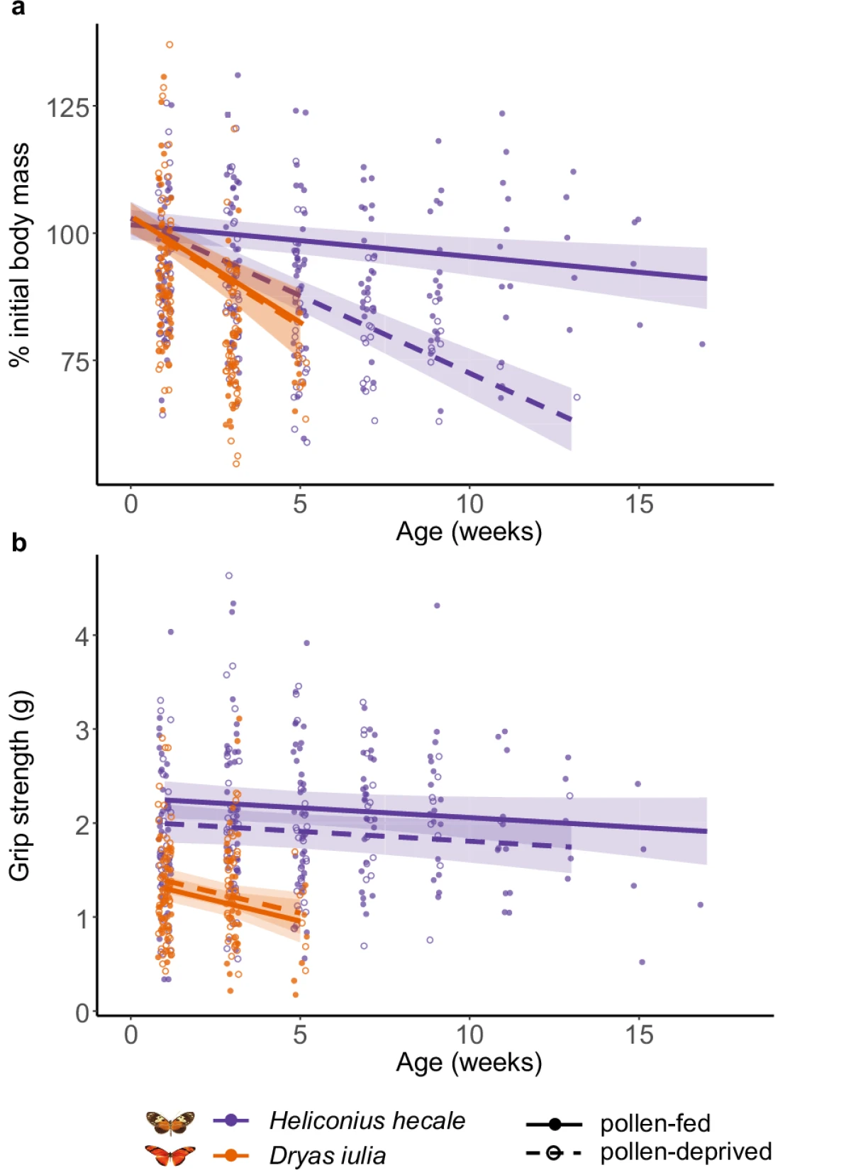 Body mass and grip strength changes with age in Heliconius hecale and Dryas iulia by diet treatment — Foley et al., Nature Communications